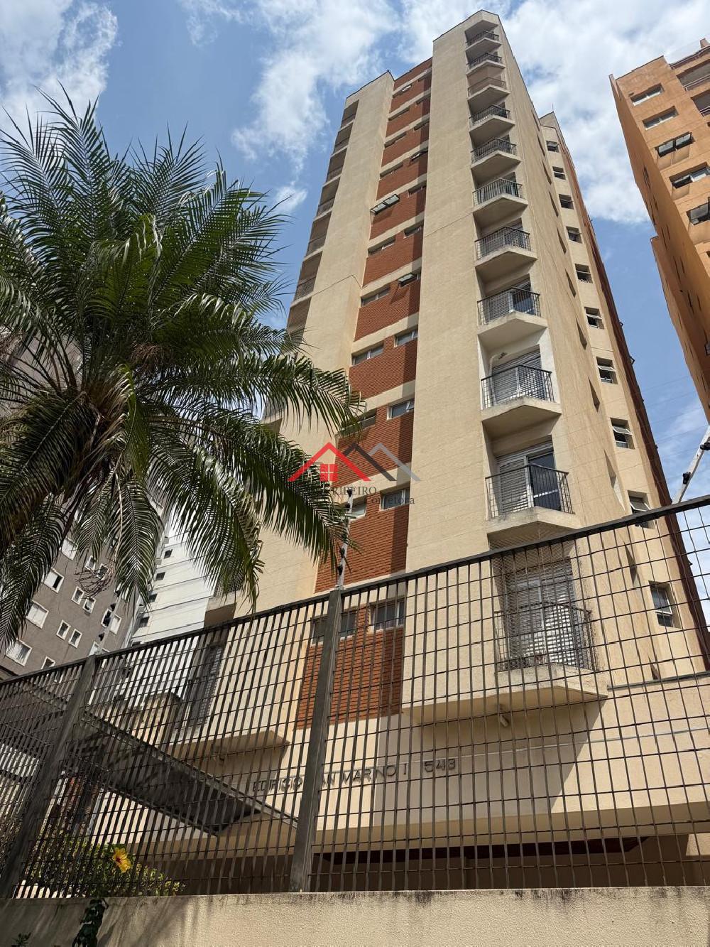 Apartamento 01 dormitório Campinas